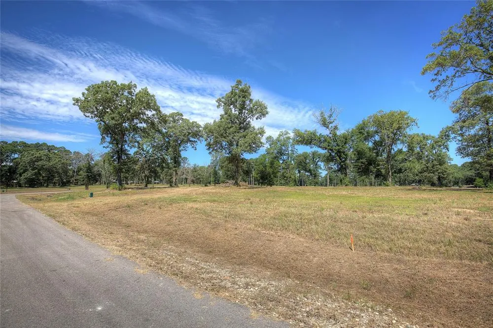 20569 Wyndham Chandler, TX 75758