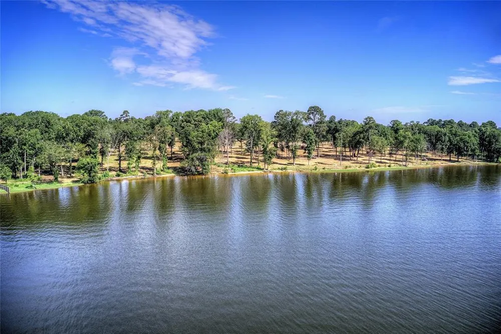20641 Wycliff Chandler, TX 75758