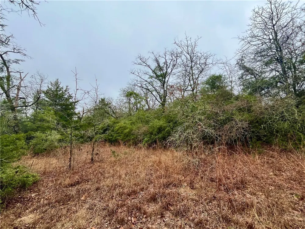 60 CR 417 Normangee, TX 77871