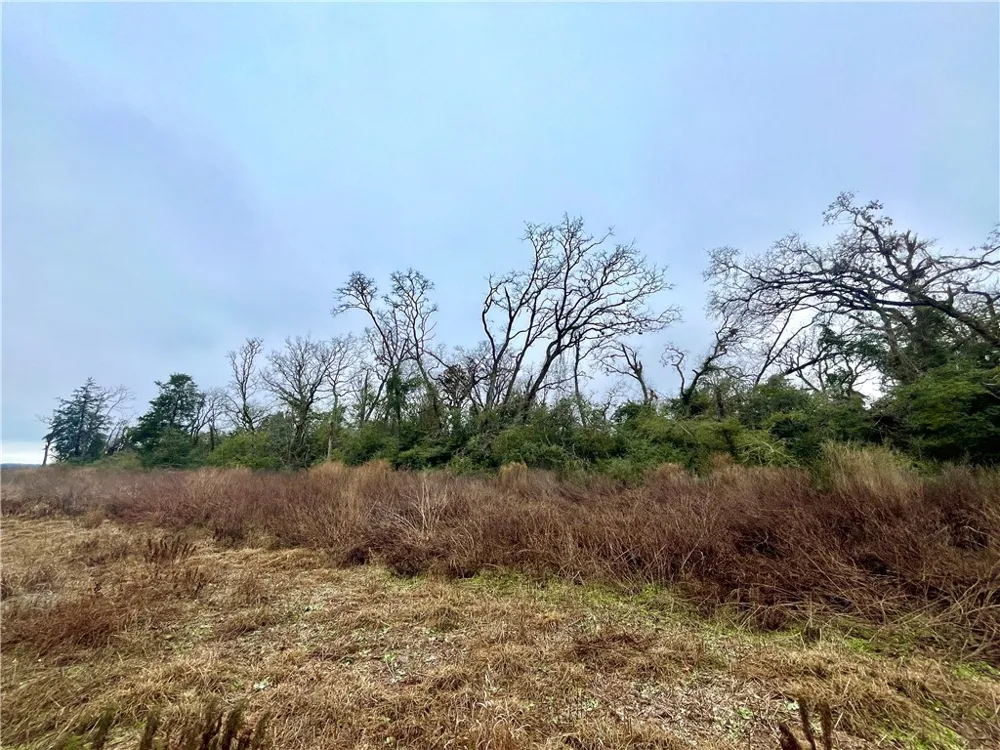 60 CR 417 Normangee, TX 77871