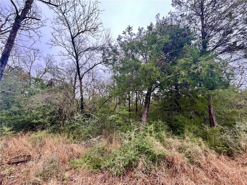 60 CR 417 Normangee, TX 77871