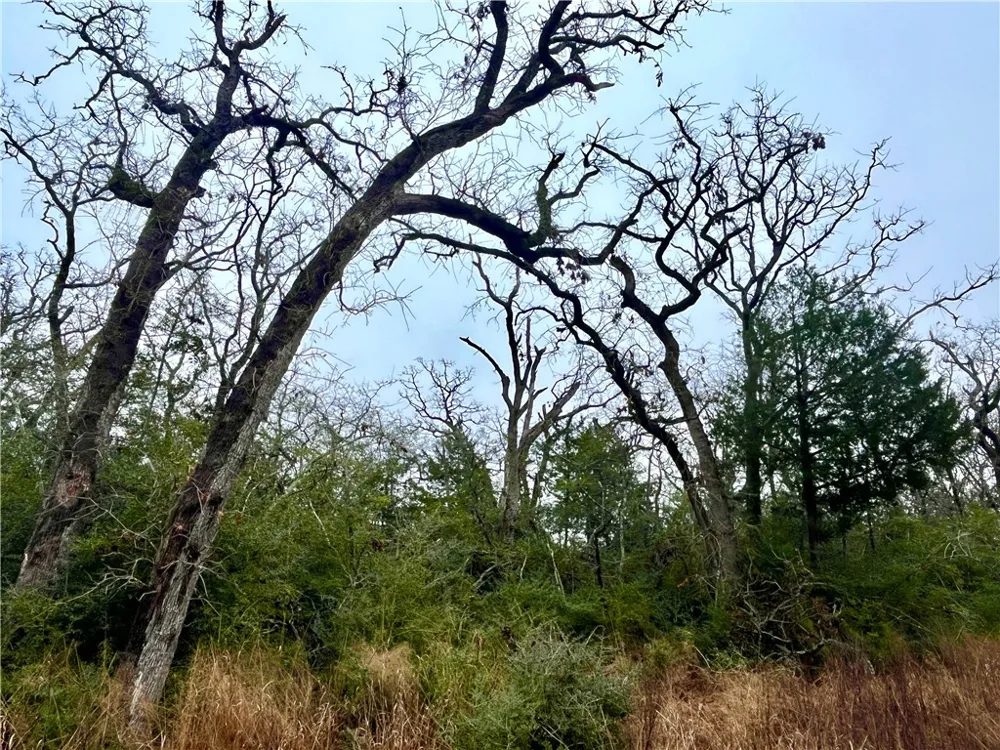 60 CR 417 Normangee, TX 77871