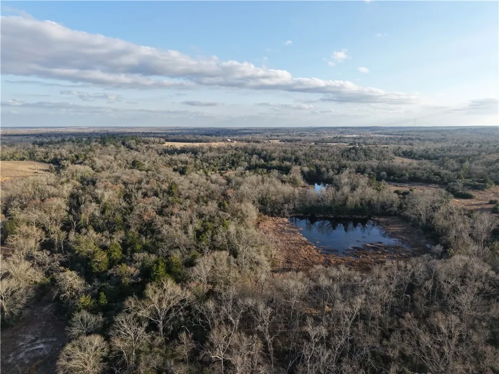 60 CR 417 Normangee, TX 77871