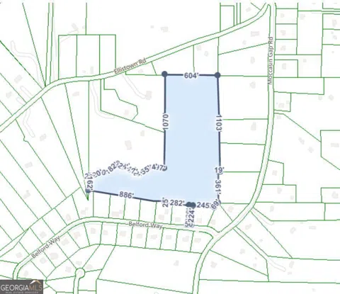 28.59 ACRES in Henry County