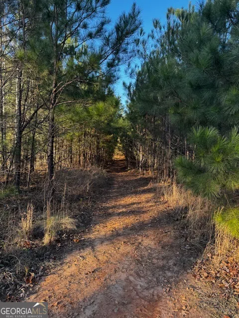 28.59 ACRES in Henry County Jackson, GA 30233