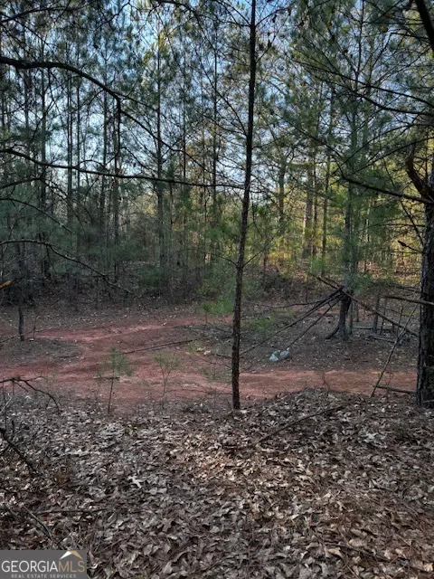 28.59 ACRES in Henry County Jackson, GA 30233