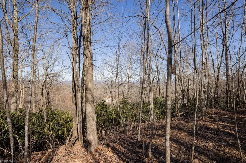Lot 4 Green Point Lane Boomer, NC 28606