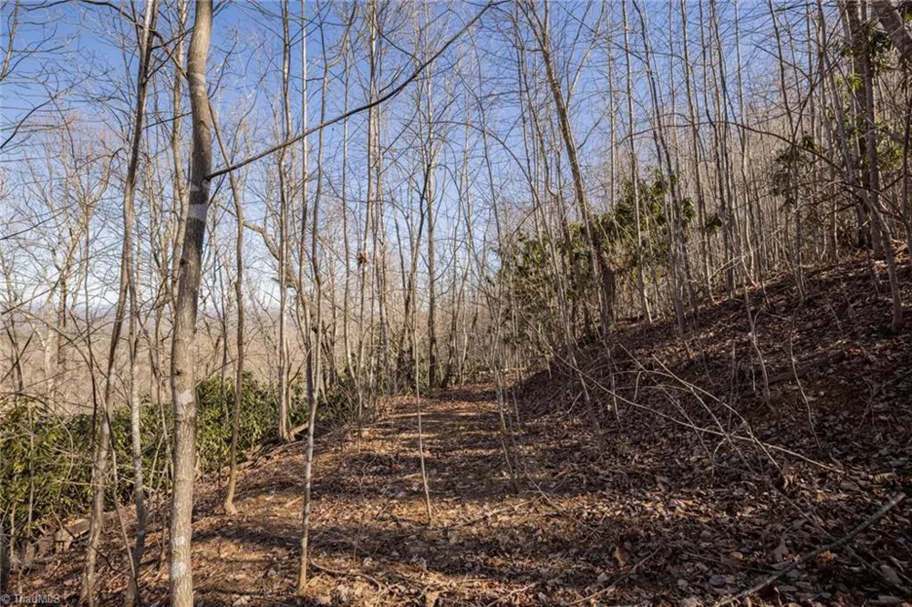 Lot 4 Green Point Lane Boomer, NC 28606