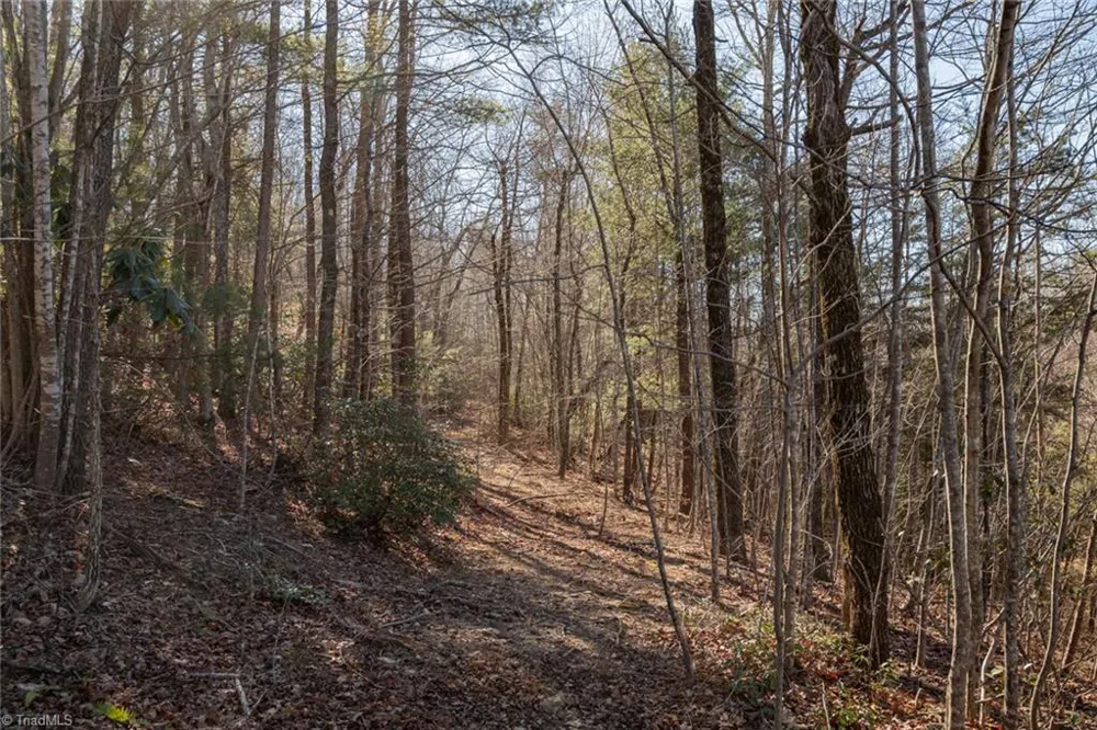 Lot 4 Green Point Lane Boomer, NC 28606