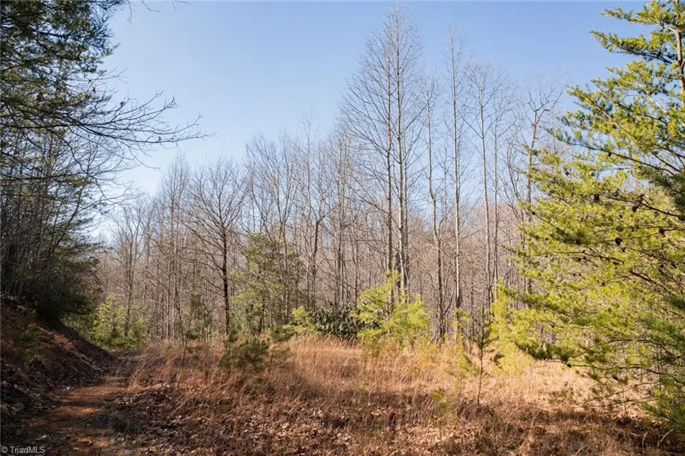 Lot 4 Green Point Lane Boomer, NC 28606