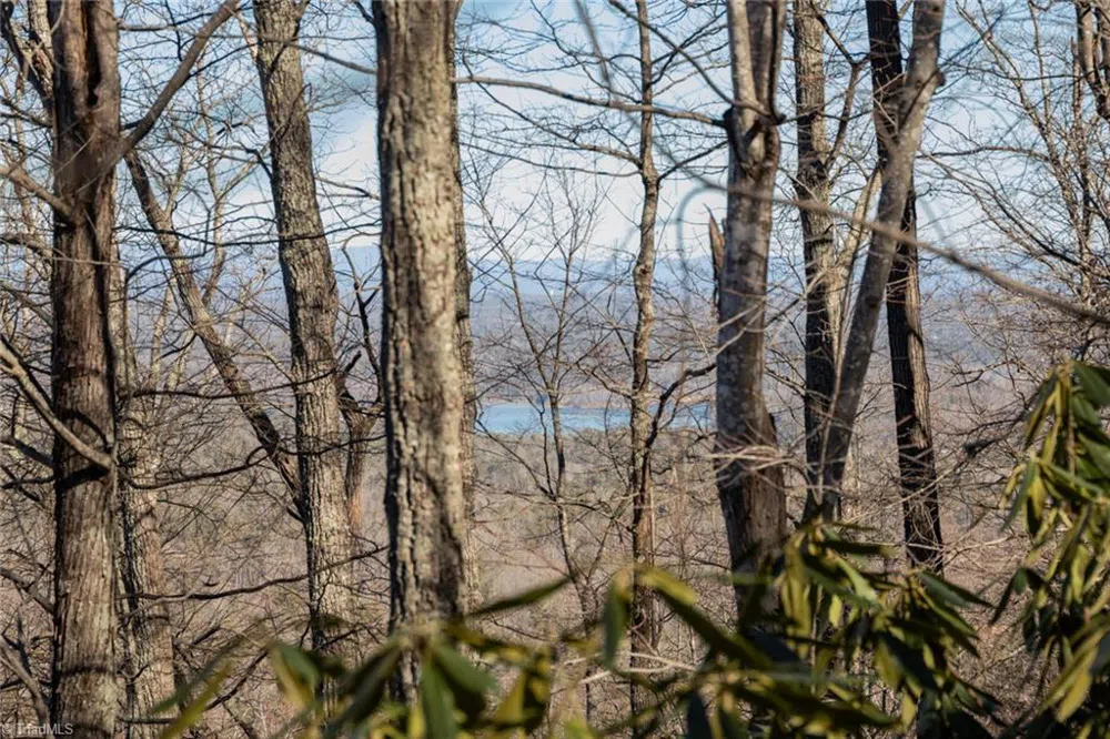 Lot 4 Green Point Lane Boomer, NC 28606