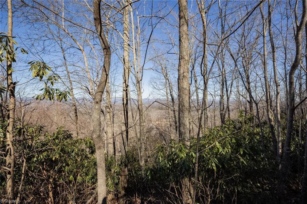 Lot 4 Green Point Lane Boomer, NC 28606