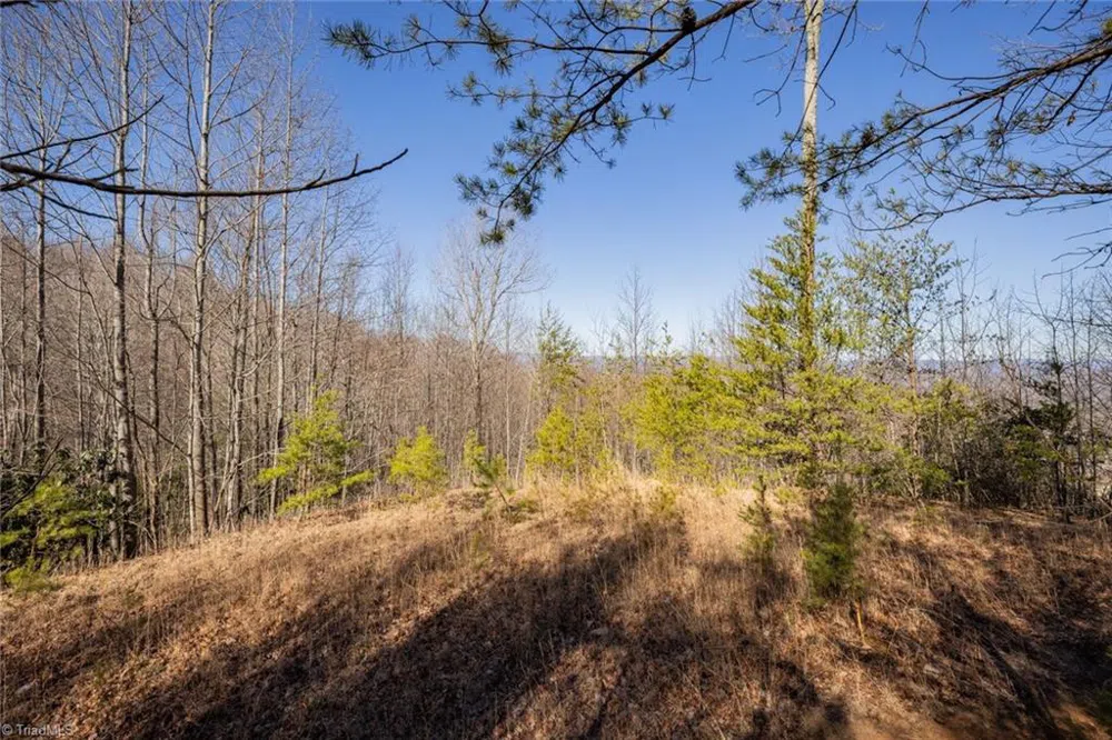 Lot 4 Green Point Lane Boomer, NC 28606
