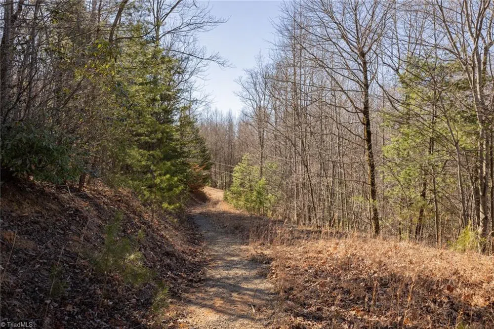 Lot 4 Green Point Lane Boomer, NC 28606