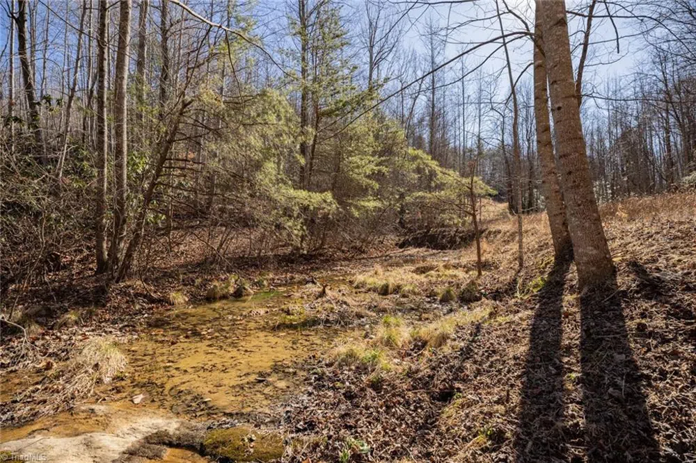 Lot 4 Green Point Lane Boomer, NC 28606