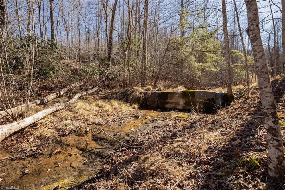 Lot 4 Green Point Lane Boomer, NC 28606
