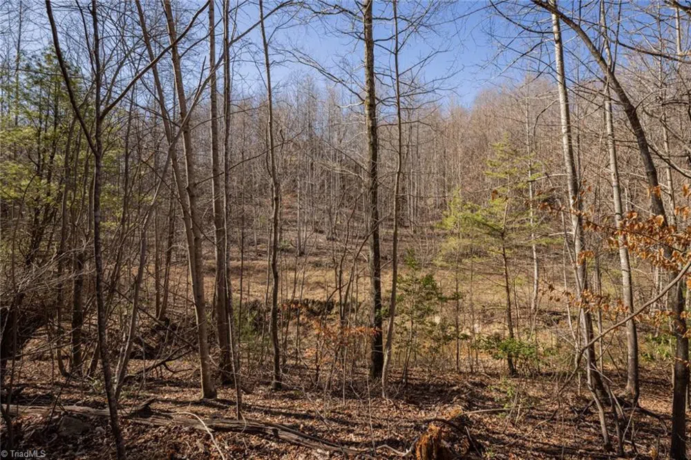 Lot 4 Green Point Lane Boomer, NC 28606
