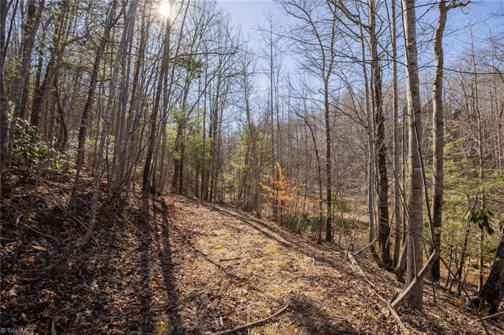 Lot 4 Green Point Lane Boomer, NC 28606