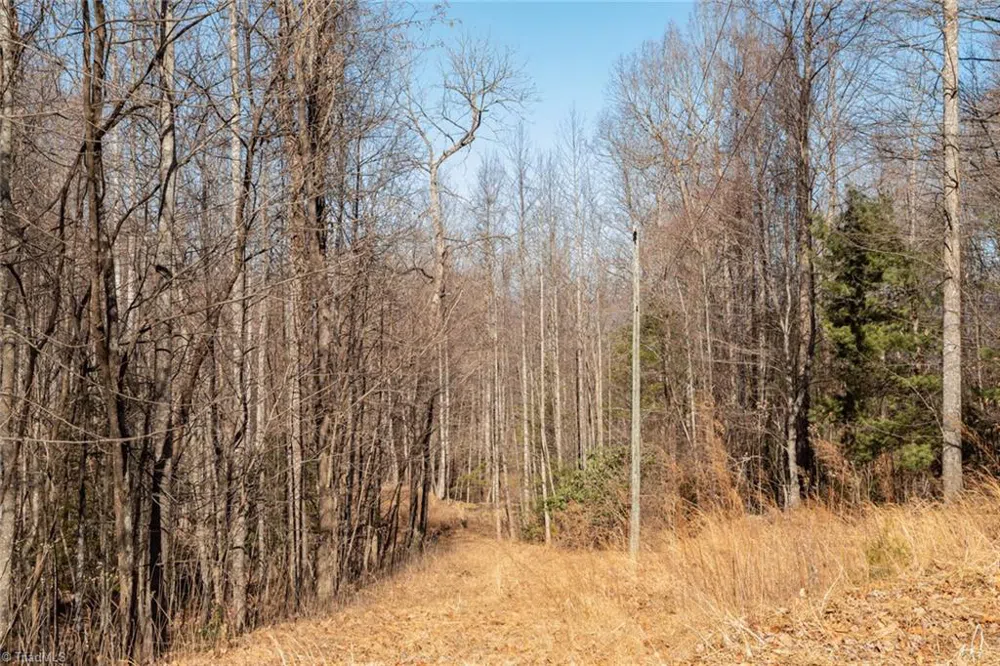 Lot 6 Green Point Lane Boomer, NC 28606