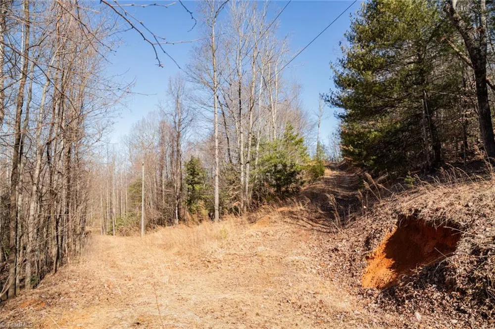 Lot 6 Green Point Lane Boomer, NC 28606