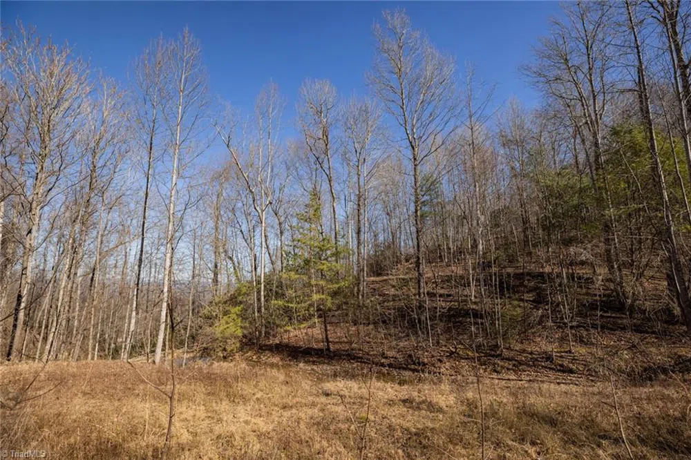 Lot 6 Green Point Lane Boomer, NC 28606