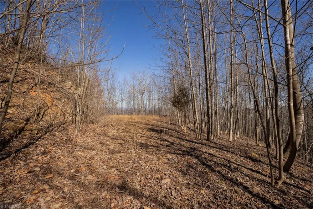 Lot 6 Green Point Lane Boomer, NC 28606