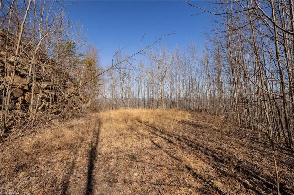 Lot 6 Green Point Lane Boomer, NC 28606
