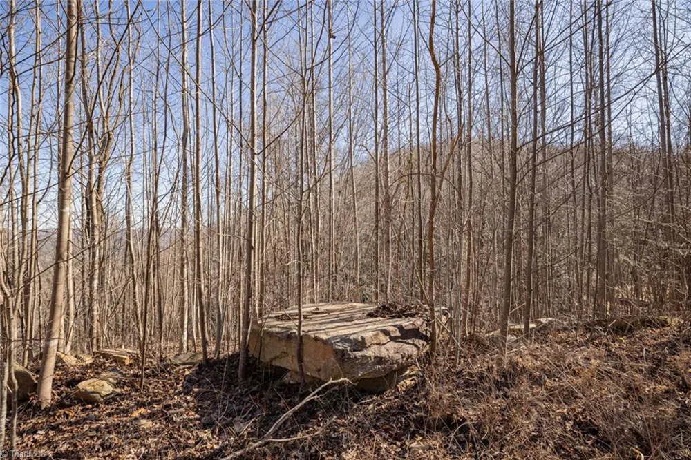 Lot 6 Green Point Lane Boomer, NC 28606