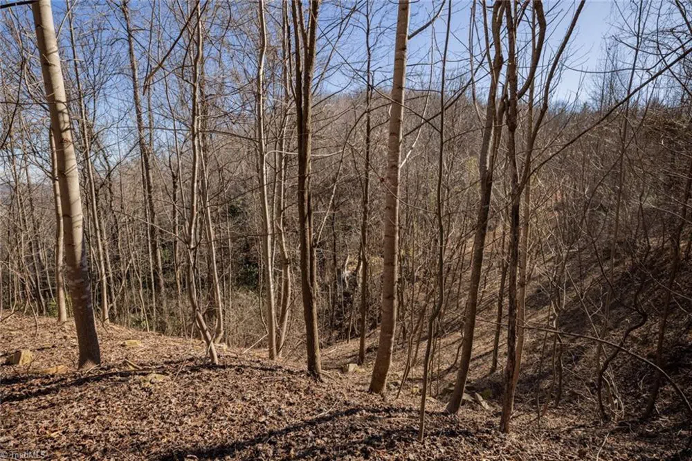 Lot 6 Green Point Lane Boomer, NC 28606