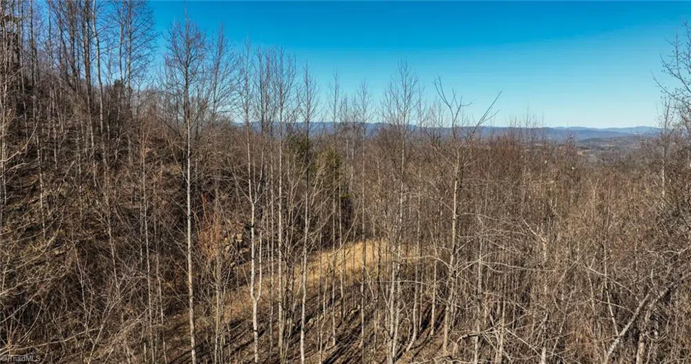 Lot 6 Green Point Lane Boomer, NC 28606