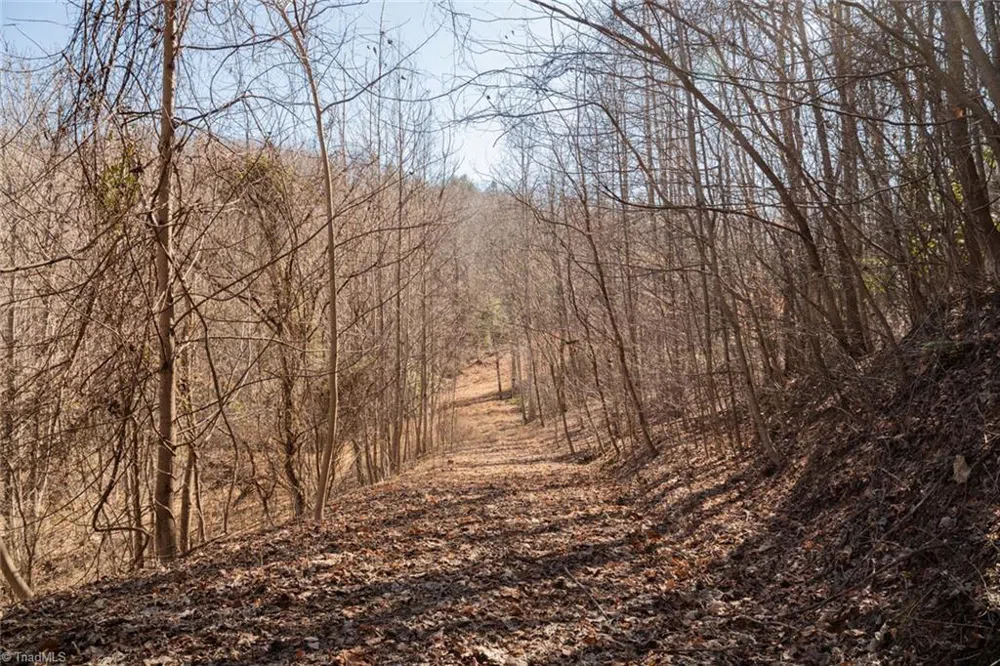 Lot 6 Green Point Lane Boomer, NC 28606
