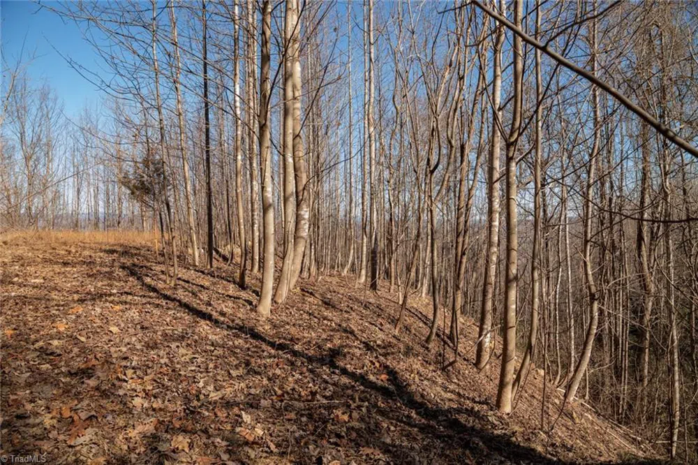 Lot 6 Green Point Lane Boomer, NC 28606