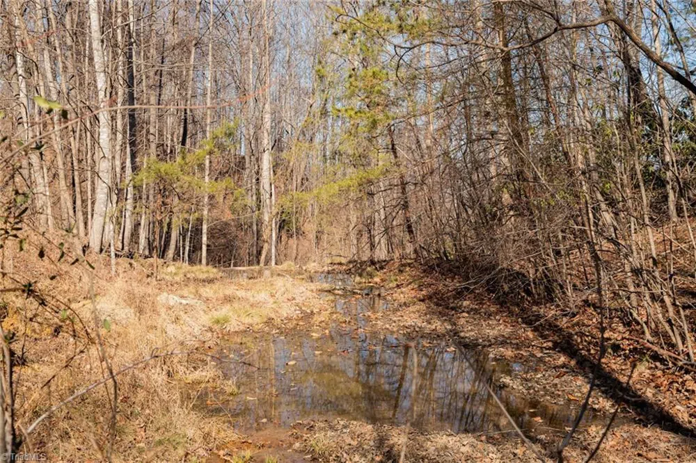 Lot 6 Green Point Lane Boomer, NC 28606