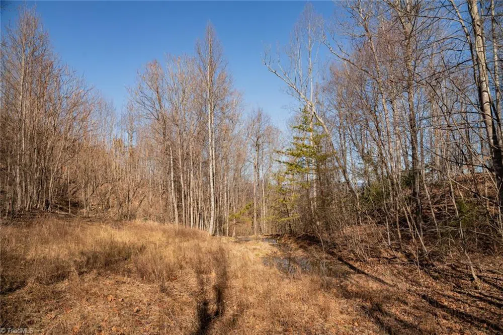 Lot 6 Green Point Lane Boomer, NC 28606