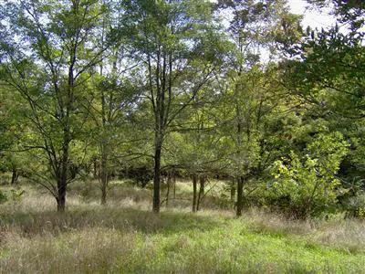 1431 M-89 Highway Otsego, MI 49078