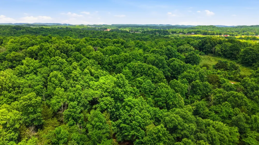 0 Joe Peay Rd Spring Hill, TN 37174