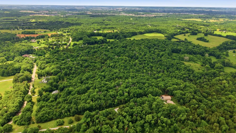 0 Joe Peay Rd Spring Hill, TN 37174
