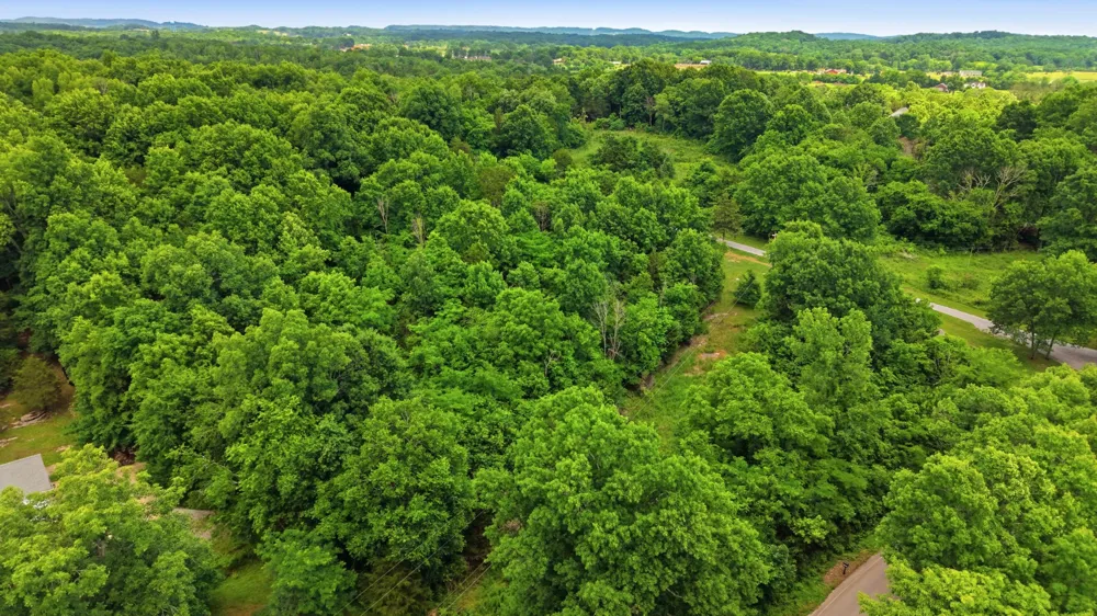 0 Joe Peay Rd Spring Hill, TN 37174