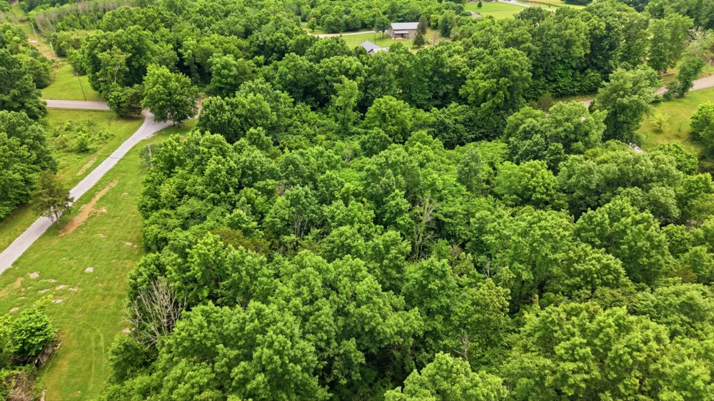 0 Joe Peay Rd Spring Hill, TN 37174