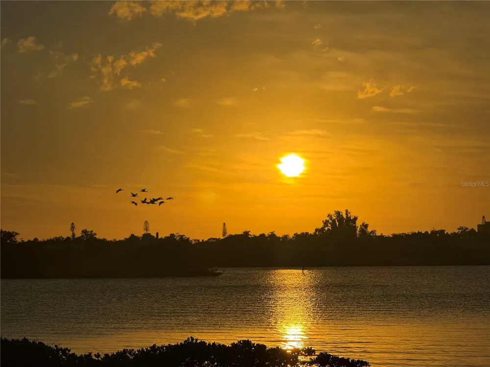 1323 LANDINGS DRIVE #12 Sarasota, FL 34231