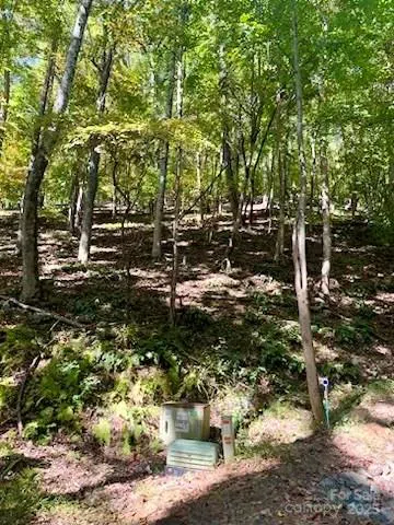 TBD Hickory Vista Lane #101, 102, 103, 106, 107 Mills River, NC 28759