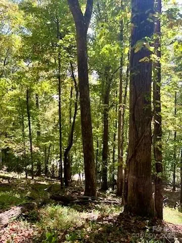 TBD Hickory Vista Lane #101, 102, 103, 106, 107 Mills River, NC 28759