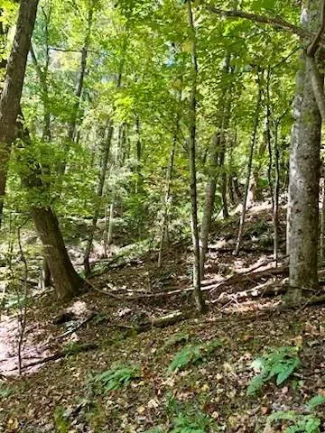 TBD Hickory Vista Lane #101, 102, 103, 106, 107 Mills River, NC 28759