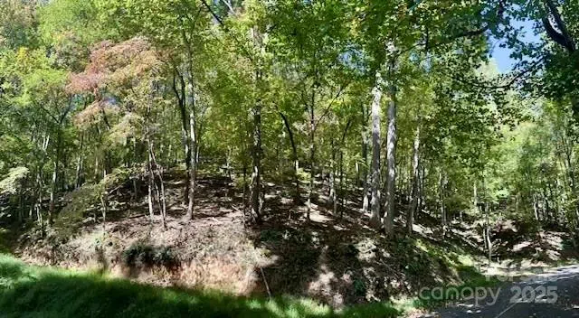 TBD Hickory Vista Lane #101, 102, 103, 106, 107 Mills River, NC 28759