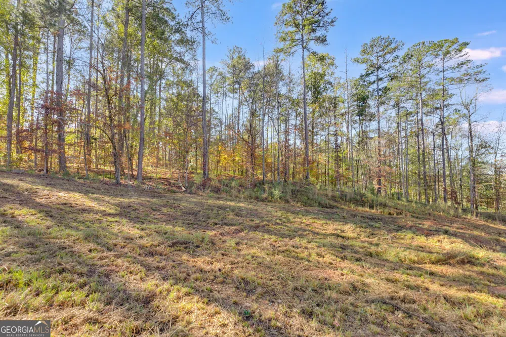 65 Indian Bend DR LaGrange, GA 30240
