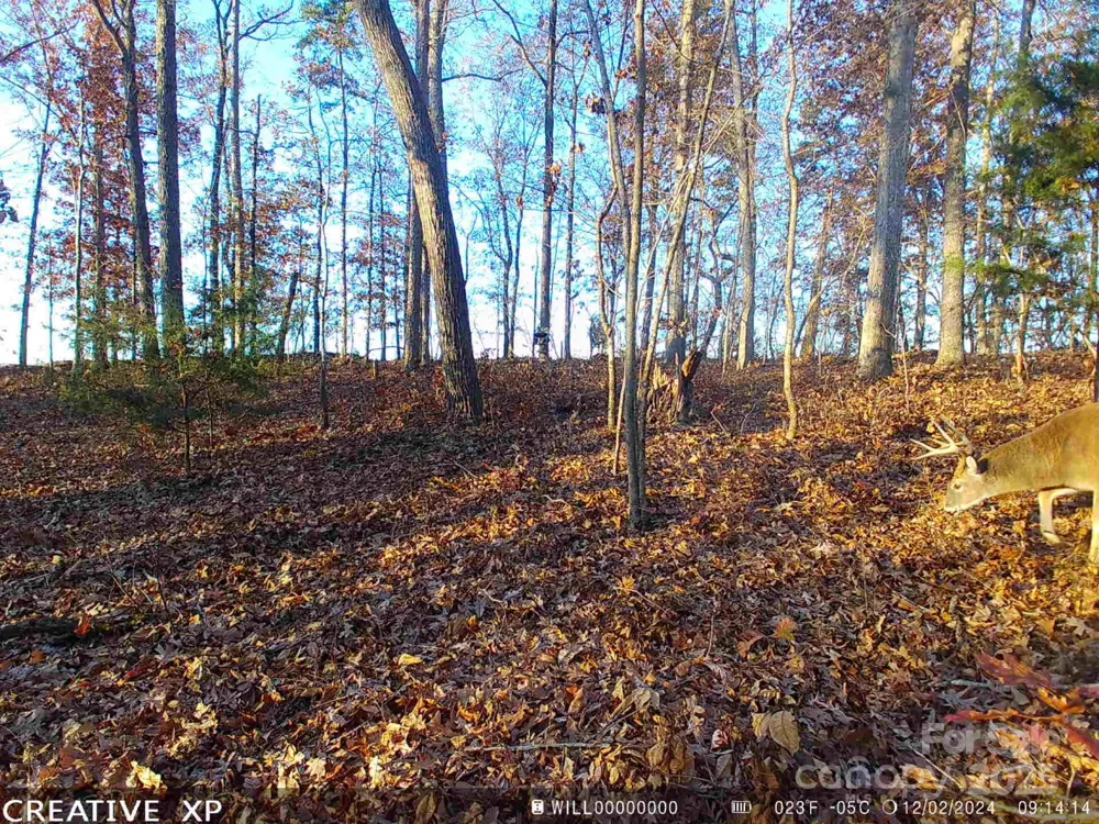 7210 Mission Road Mount Pleasant, NC 28124