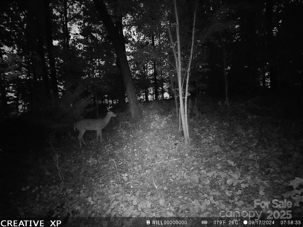 7210 Mission Road Mount Pleasant, NC 28124