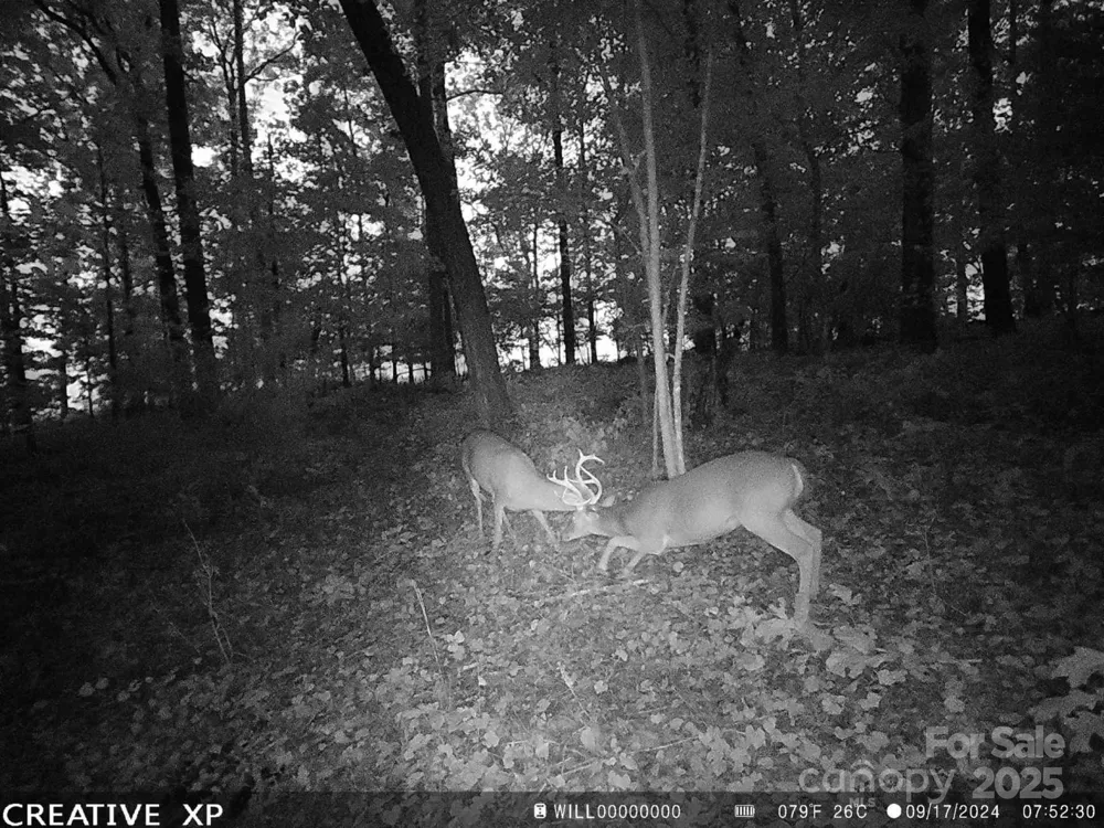7210 Mission Road Mount Pleasant, NC 28124