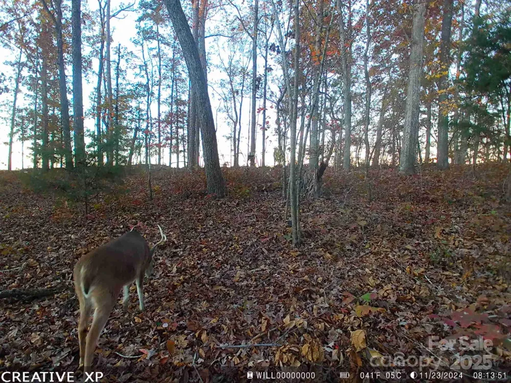 7210 Mission Road Mount Pleasant, NC 28124