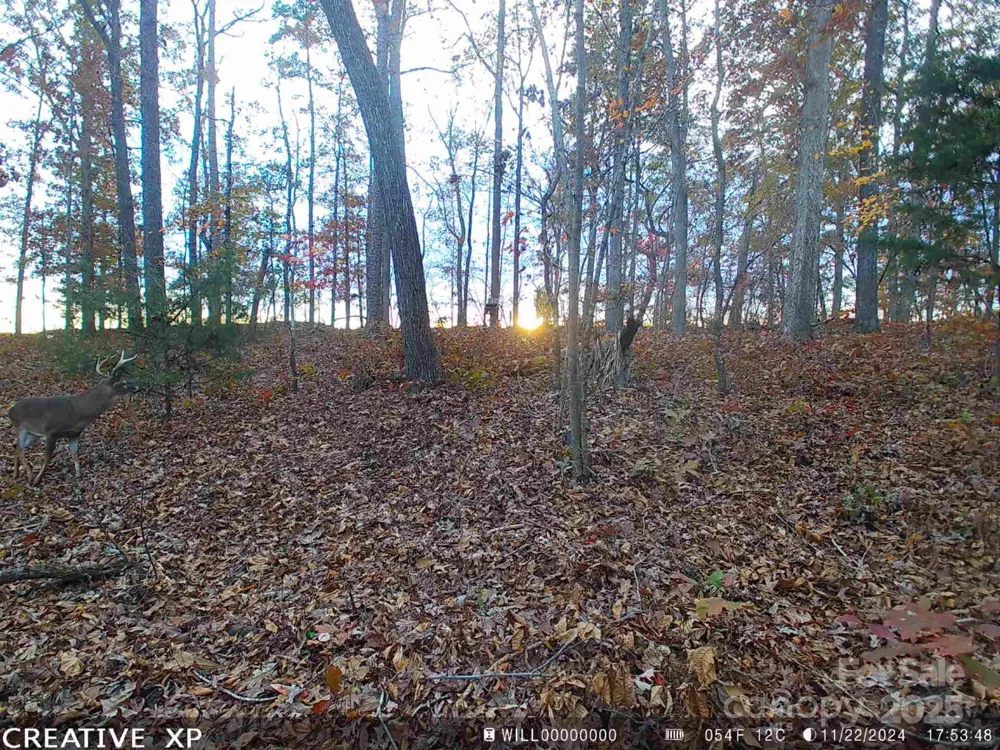 7210 Mission Road Mount Pleasant, NC 28124